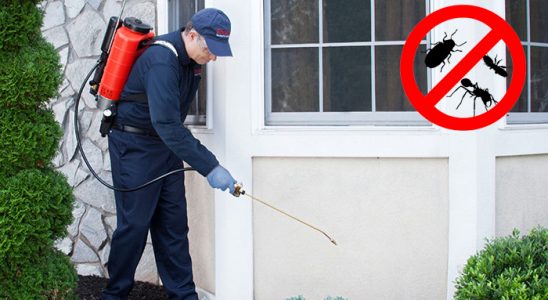 Kartal Karınca İlaçlama böcek ilaçlama ve haşere kontrolü — ilaclama-tr.com